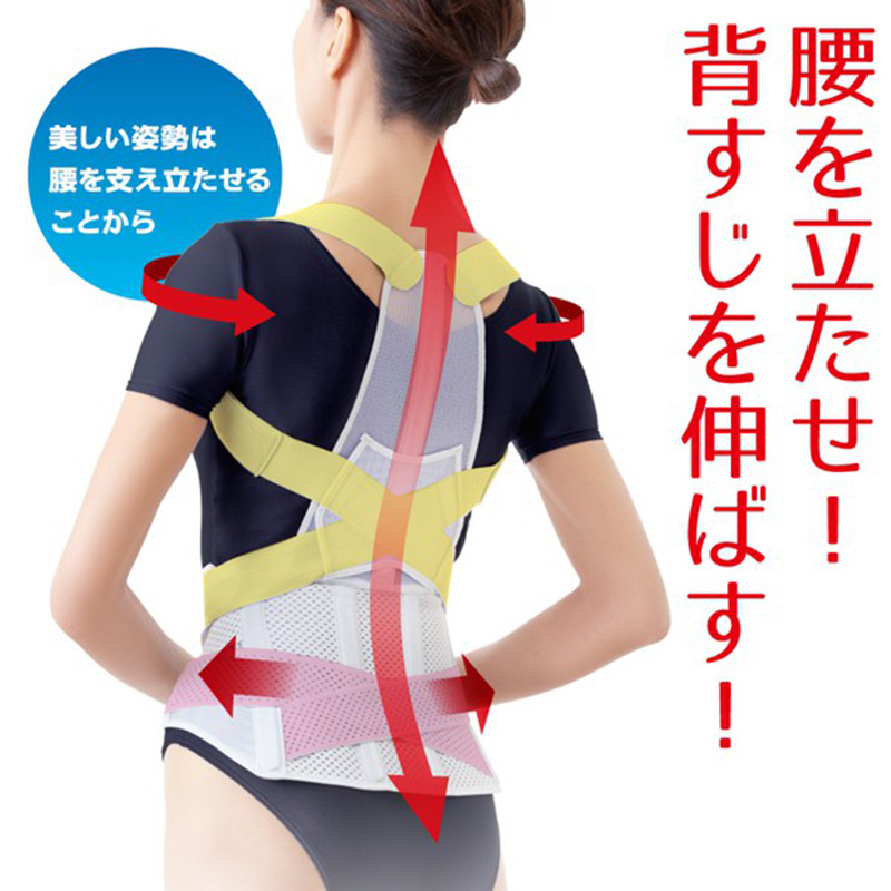 ALPHAX日本人气的医生的推荐系列矫正姿势腰背支撑带 M-L   L-LL